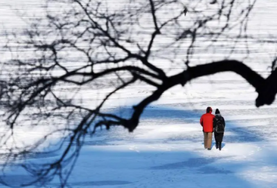 ​鲁迅的故乡的主要内容（鲁迅的故乡的读后感400字）