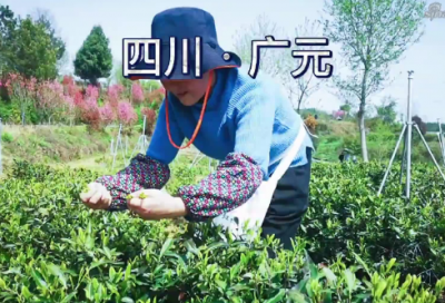 ​陶渊明是哪个朝代的（陶渊明简历个人资料）