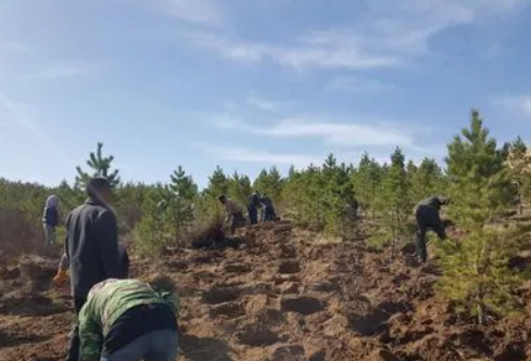 1688378129465059.png image.png