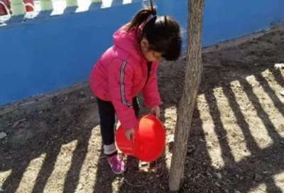 ​沈石溪的小说有哪些（沈石溪最有名的书推荐）