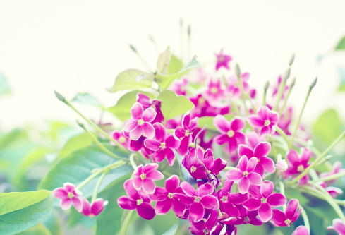 1688497556903586.png image.png