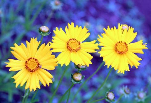 1688498071933021.png image.png