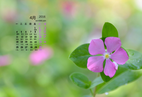 1688498930429824.png image.png