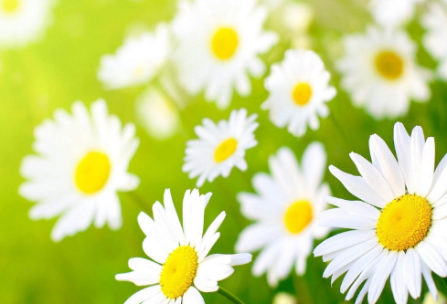 1688499101454869.png image.png