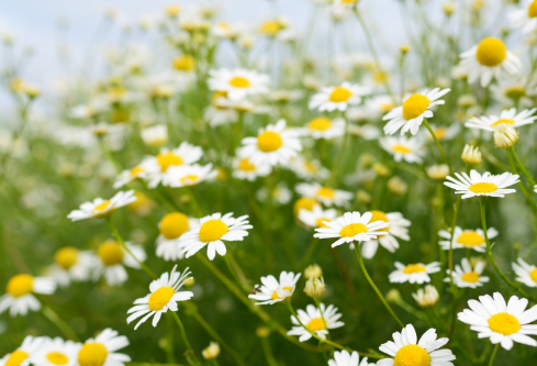 1688499444380073.png image.png