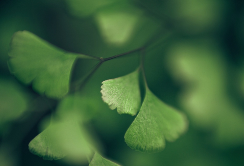 1688500131961958.png image.png