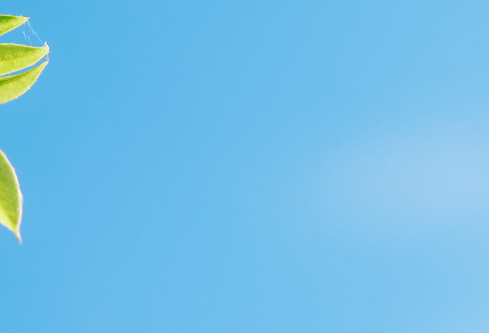 1688502019870413.png image.png