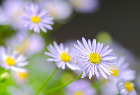 1688504593510250.png image.png