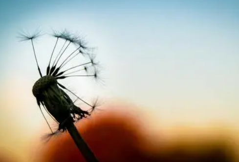 1688504936645970.png image.png