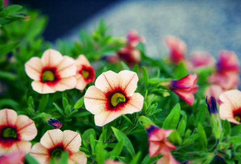 1688506138320568.png image.png