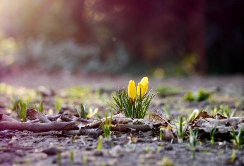 1688507339926755.png image.png