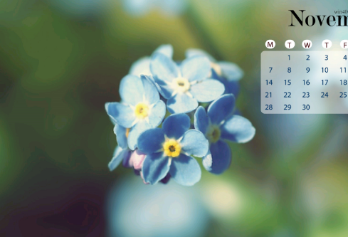 1688507511706307.png image.png