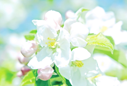 1688507682139501.png image.png