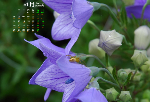 1688509913206256.png image.png