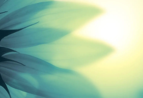 1688510256423966.png image.png