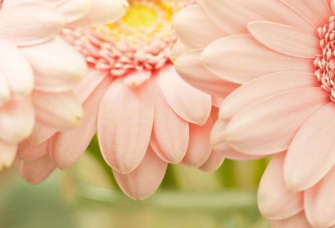 1688510600442096.png image.png