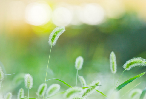 1688510772871058.png image.png