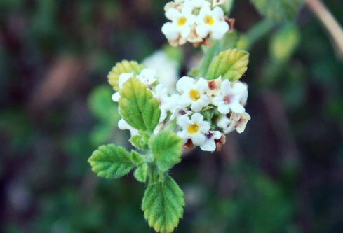 1688510943250486.png image.png