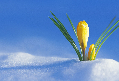 1688511801687787.png image.png