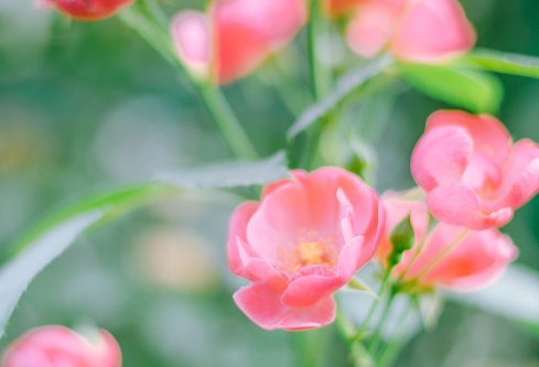 1688511973339749.png image.png