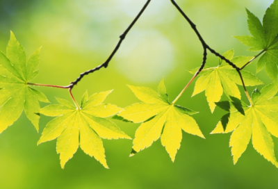 ​家长育儿心得及感悟范文