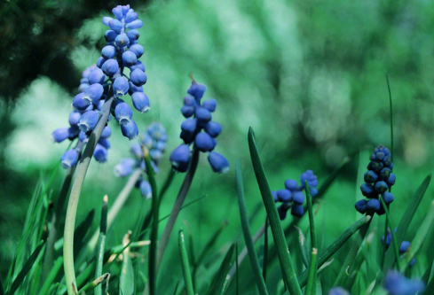 1688512316751399.png image.png