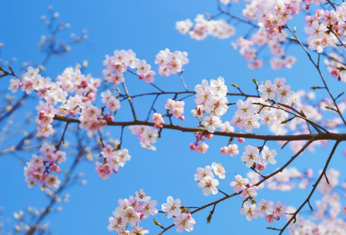 1688512488792579.png image.png