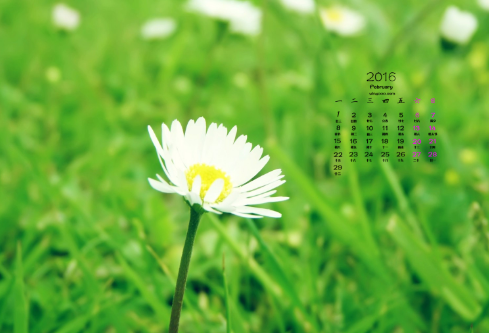 1688513346515373.png image.png