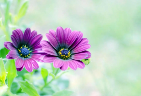 1688513517960402.png image.png