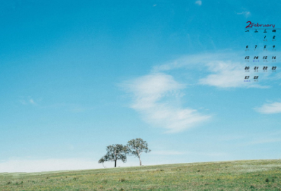 ​晨光倒影读后感