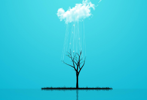 1688514204336066.png image.png