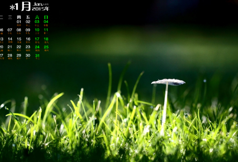 1688514890431859.png image.png