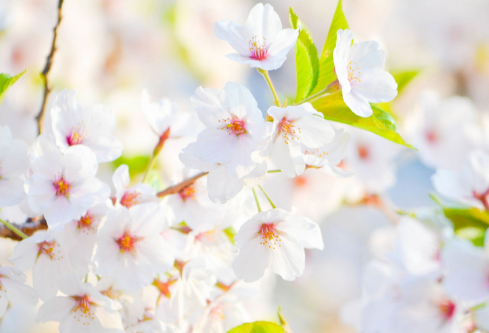 1688515405833716.png image.png