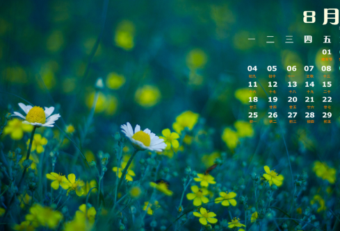 1688515577490394.png image.png