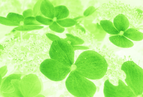 1688516949756676.png image.png