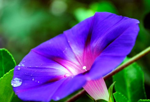 1688517292174252.png image.png