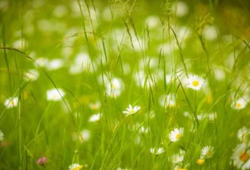 1688517636553868.png image.png