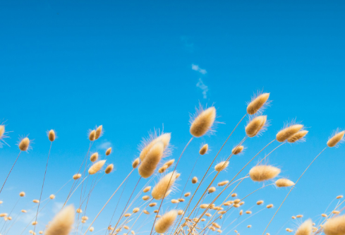 1688517808913628.png image.png