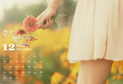 1688517979499948.png image.png