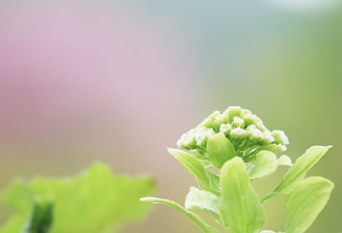 1688518151927008.png image.png