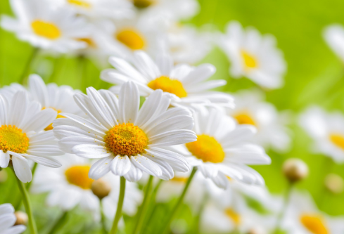 1688518837962943.png image.png