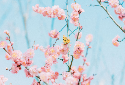 1688519009570919.png image.png