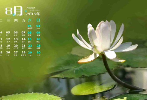 1688519695271619.png image.png