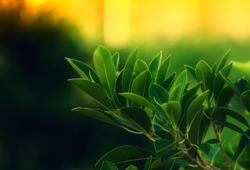 1688520210458055.png image.png