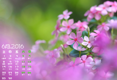 1688521068897633.png image.png