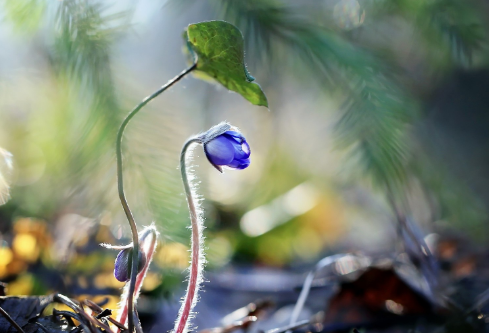 1688521411404093.png image.png