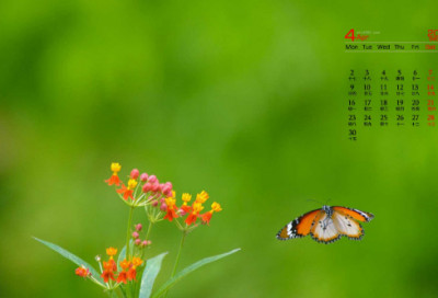 ​年度述职报告范文6篇