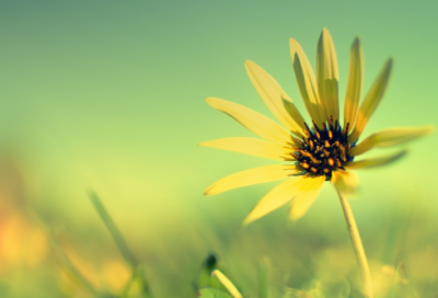 ​创特色争先进活动实施方案