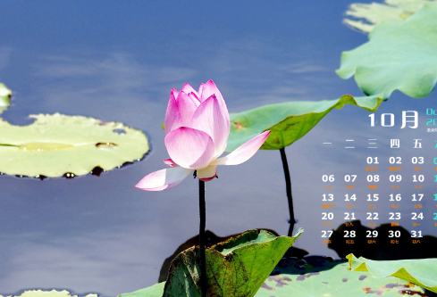 1688522613650829.png image.png