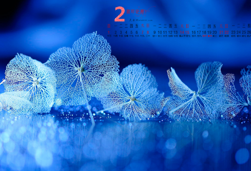 1688525015688037.png image.png